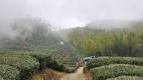 雲嘉五連峰2732213