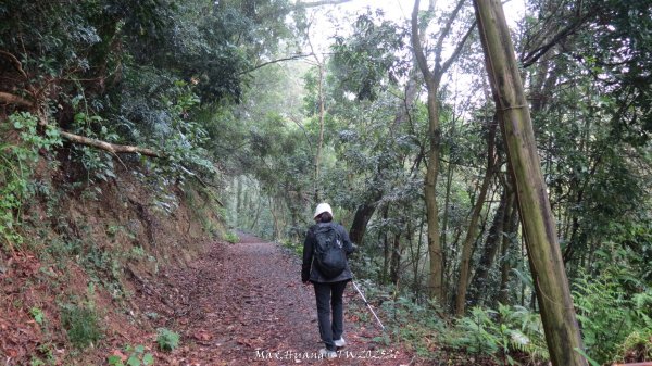 《苗栗》台鐵舊山線｜三義勝興鐵道覓境及挑柴古道O繞202501192693569