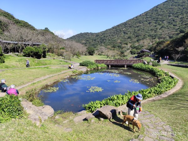 【臺北大縱走 2】【第二回合全程完成證書】鞍部→大屯山步道→大屯山主峰→大屯坪步道→二子坪步道2960411