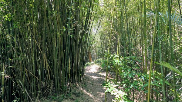 牛稠尾山,聖明山