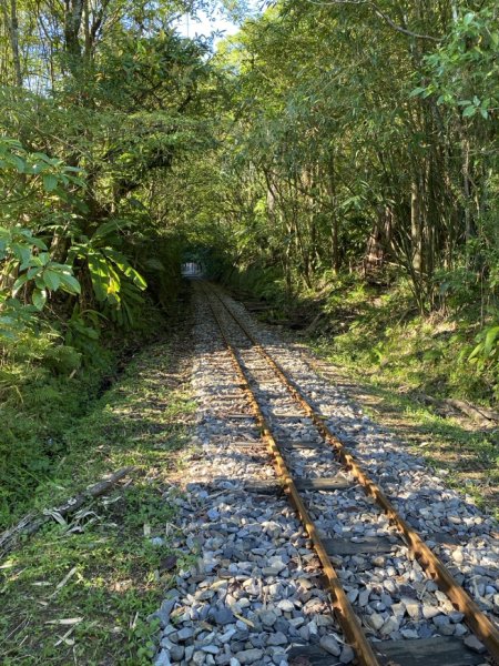 2023/12/14 碇內尖山 龍門山 五分山 淡蘭古道中路2399837