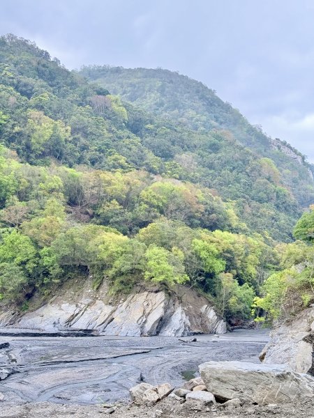 奧萬大登合流點山順撿楓樹林山.獅子頭    2025.3.112734133