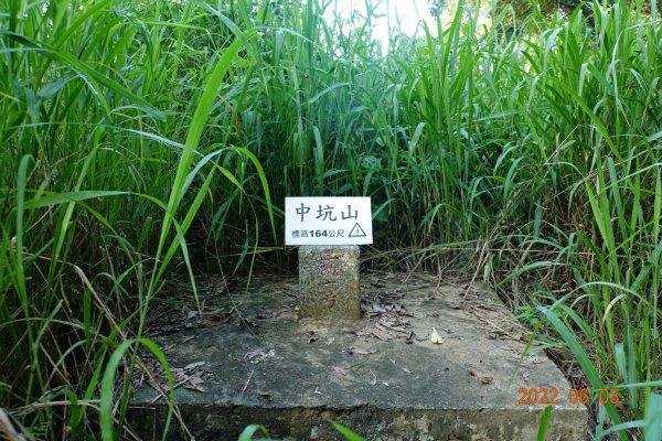 嘉義 大林 中坑山1729807