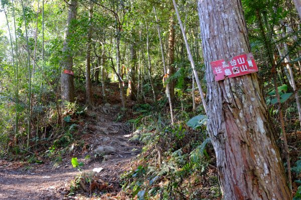 新竹尖石鄉 高島縦走1280656