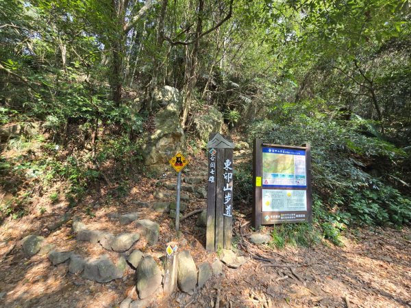 東卯山／東卯山西峰+賞山櫻花2715982