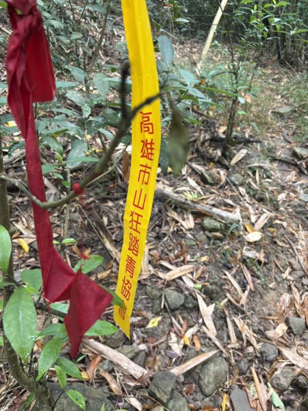 20251108白雲山步道2935196