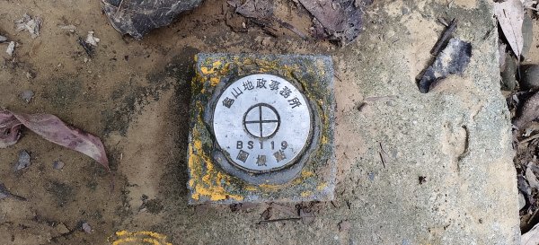 2025/08/03_羊稠森林步道2850659