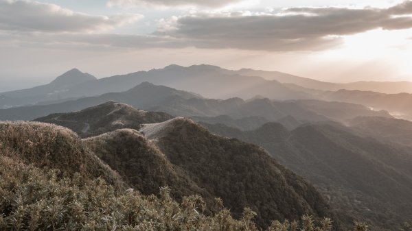 菅芒浪白｜五分山2356422