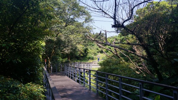 觀音山、尖山(占山) O型1336562