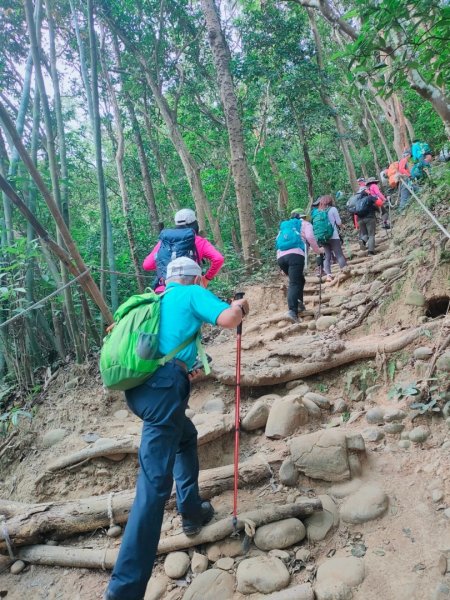 新竹［飛鳳山+中坑山+石壁潭山+大板根o形縱走］2231631