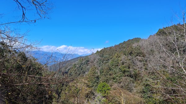 仙女散落的珍珠2723928