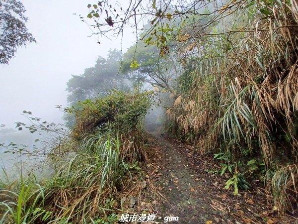 【台南。 楠西】滿滿的雲海太驚豔。 小百岳集起來。 編號67小百岳~竹子尖山步道1605915