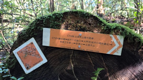 東北季風起遊走雲瀑和山毛櫸間的啦卡山與北插天山登山行2951082