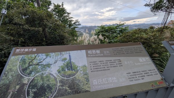 114.12.20劉銘傳隧道-獅球嶺北峰-獅球嶺東砲台山-獅球嶺池-獅球嶺砲台山之旅2966716