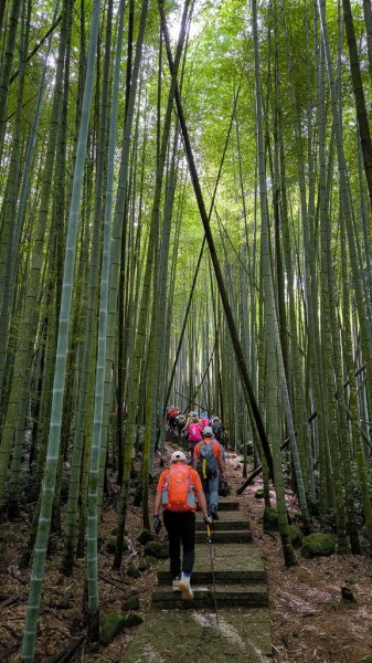 2026-07-26 頂湖大凍山、霹靂山、樂野山3091448