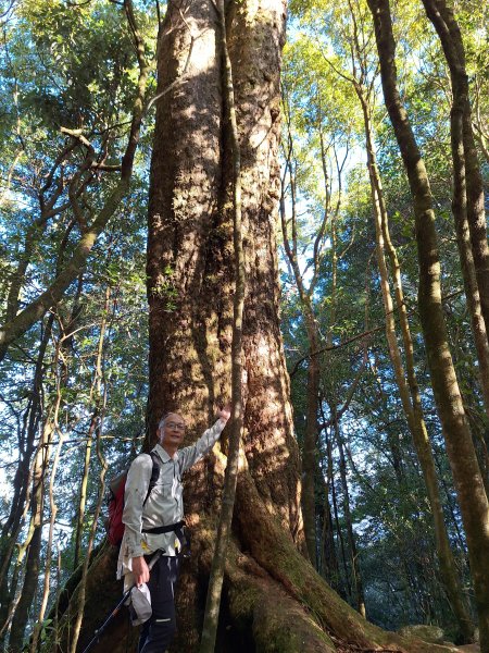 稍來神木+稍來山+稍來山南峰O型202412292678985