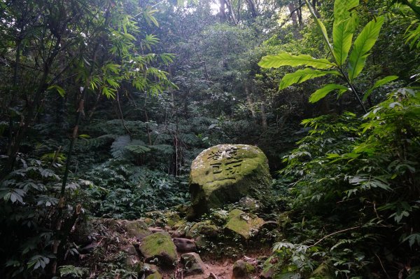 桃園石門山+小粗坑2021936