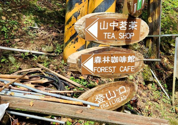 【中級山】有一種美，令人不想回家，新竹鵝公髻山2744648