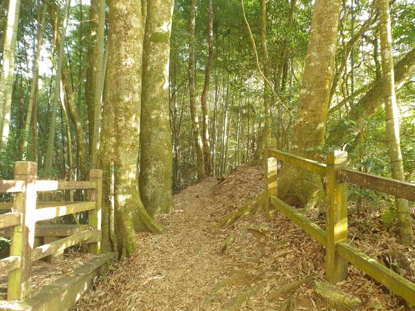 雲嘉南峰石壁山1558916