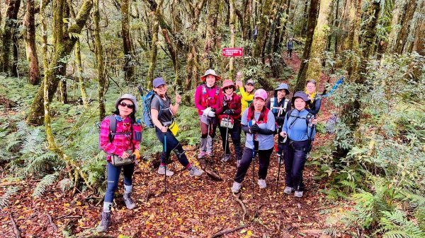 🌈12/28（日）北得拉曼神木+內鳥嘴山✨FB：熊熊趴爬走🌈2971291