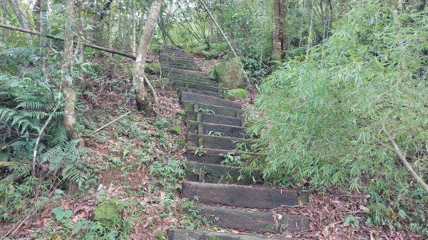 雲嘉九連峰1438970