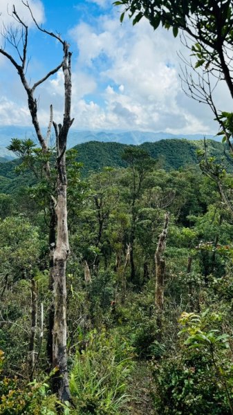 烘爐地山、桶後溪源頭O走2593146