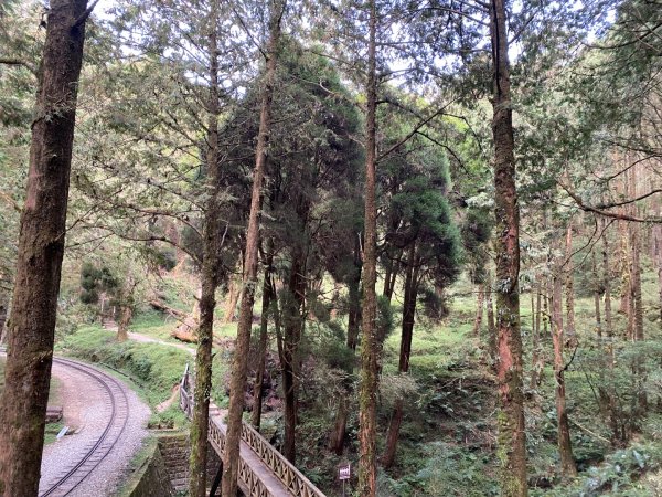 1131215大塔山步道2669077