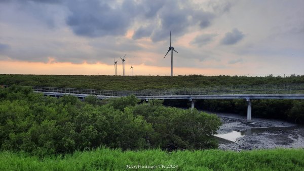 《彰化》海空七夕｜芳苑海空步道濕地紅樹林202408102569267