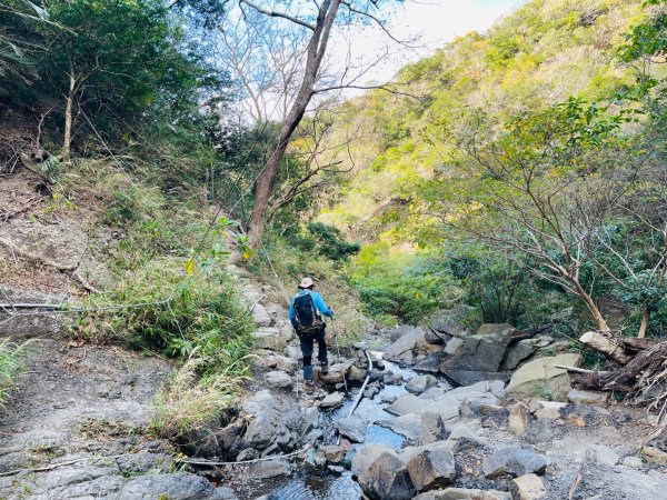 1150123里龍山2986723