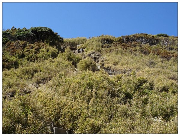 合歡山東峰1319739