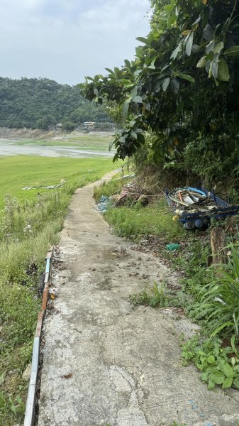 20240429 桃園復興枕頭山薑母島2492286