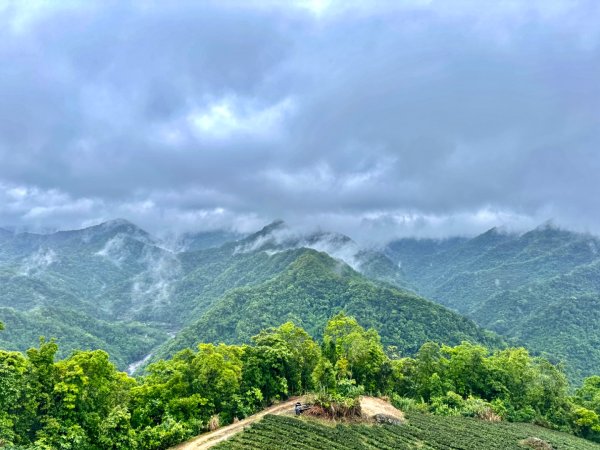 大舌湖山-漁光國小-茶園-虎寮潭吊橋2773005
