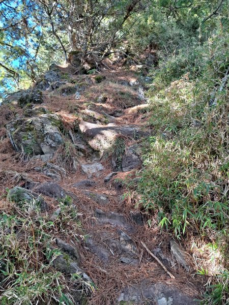 一日鹿山/東小南山/玉山南峰(2022.11.16)1957229