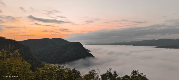 #翡翠水庫壩頂 #月亮 #日出 #雲海 #藍腹鷴母鳥 5/8&133050275