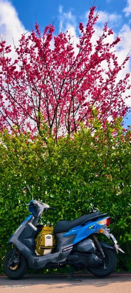 #花卉試驗中心 #永公路500巷 #平菁街42巷 #原住民公園 #士林官邸 1/42980369