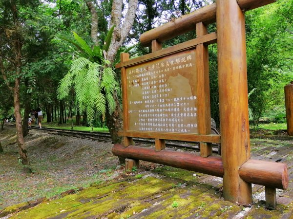 風華絕代的林業歷史。 林田山林業文化園區1041070