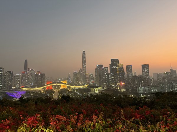 [茂名馬之行-13] 2026_0119 深圳夜景2997021