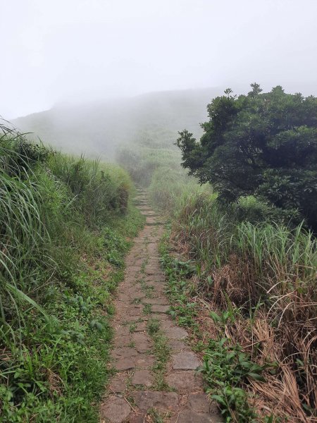 20230709 中正山縱走面天向天山，冰泰酥朵頤2211937