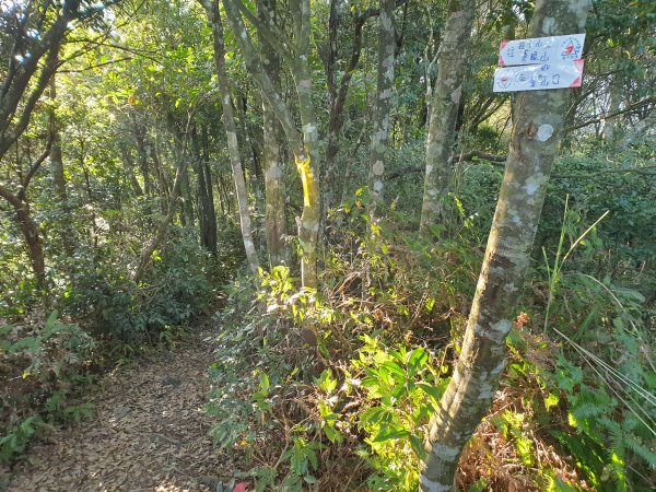 志繼山、東眼山、拉卡山1561240