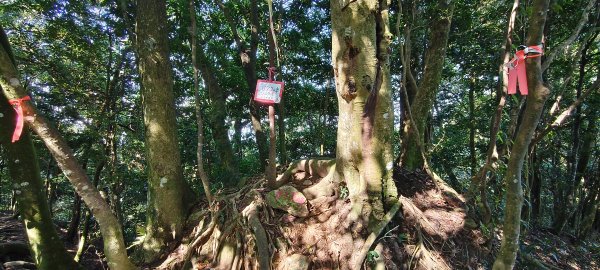 2025/09/29_仙山群峰2897339