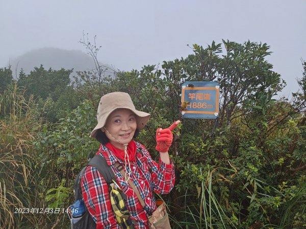 20231203淨灘後來爬竿尾崙山(H886m)2367926