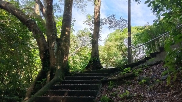 瑞芳區瑞竹步道-大坑埔山-月眉砲台-月眉山-長命山-大水堀山3081547