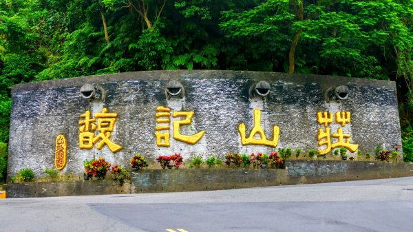 翼豆（楊桃豆）3067599