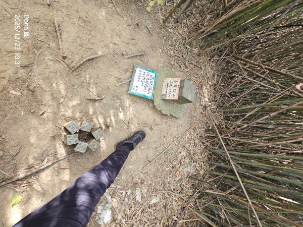 20251223芎林文林古道O走+雞寮坑山+芎林顯伯公野餐2975946