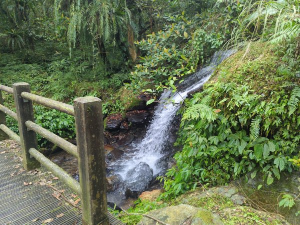 2025.01.10－松羅國家步道2981169