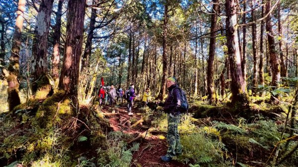 🌈11/29(六)-30(日)空靈系秘境~太平山-三星山(小百岳)⛰️+三星池~🌈2952237
