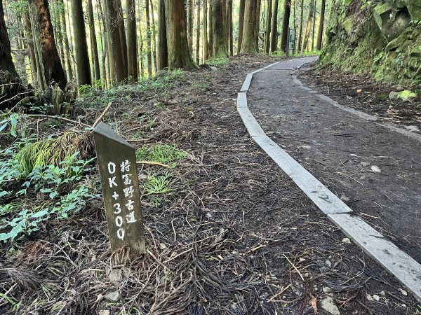 [嘉遊好步道．來嘉走走-06/10] 2024_1012 特富野古道2625198