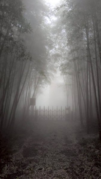 集集大山步道2886272