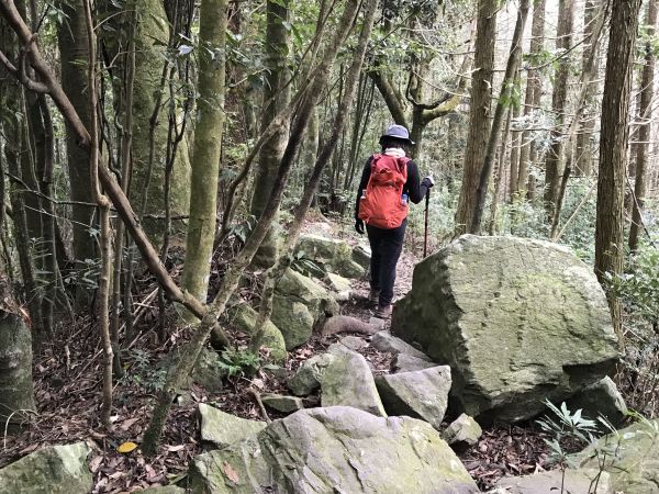 大雪山林道上屋我尾山163385