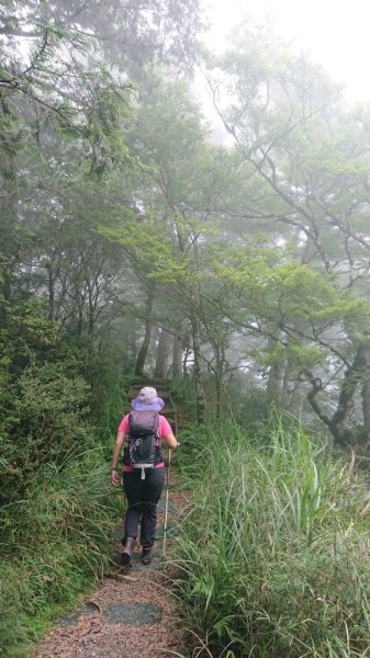 太平山2541744